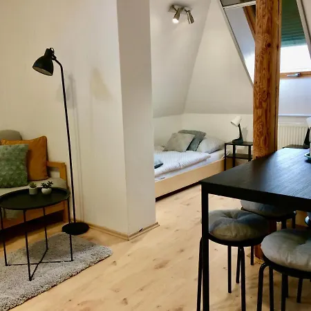 Habitación en casa particular Vila útěcha Poděbrady